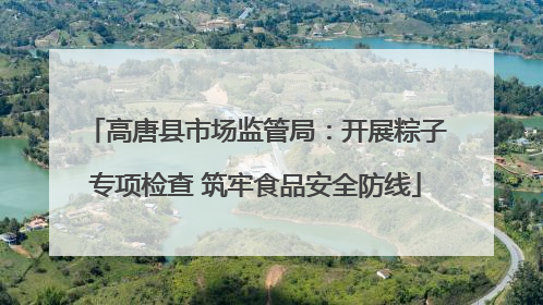 高唐县市场监管局：开展粽子专项检查 筑牢食品安全防线