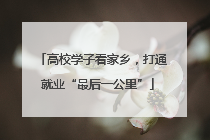 高校学子看家乡，打通就业“最后一公里”