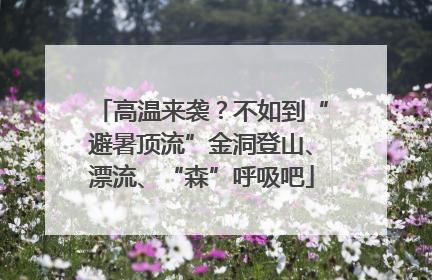 高温来袭？不如到“避暑顶流”金洞登山、漂流、“森”呼吸吧
