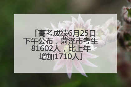 高考成绩6月25日下午公布，菏泽市考生81602人，比上年增加1710人