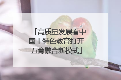 高质量发展看中国丨特色教育打开五育融合新模式