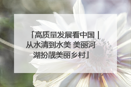 高质量发展看中国｜从水清到水美 美丽河湖扮靓美丽乡村