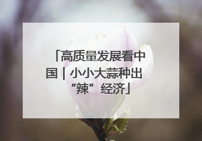高质量发展看中国｜小小大蒜种出“辣”经济