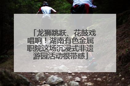 龙狮跳跃、花鼓戏唱响！湖南有色金属职院这场沉浸式非遗游园活动很带感