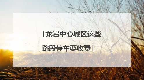 龙岩中心城区这些路段停车要收费