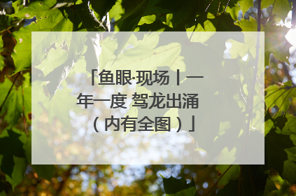 鱼眼·现场丨一年一度 驾龙出涌（内有全图）