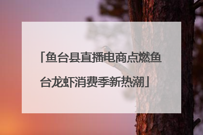 鱼台县直播电商点燃鱼台龙虾消费季新热潮