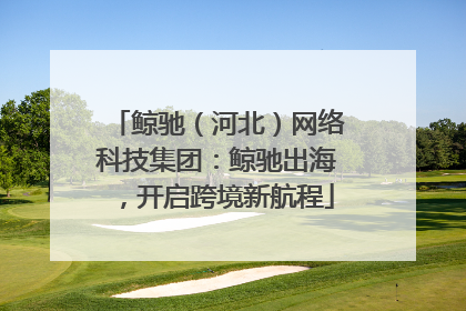 鲸驰（河北）网络科技集团：鲸驰出海，开启跨境新航程