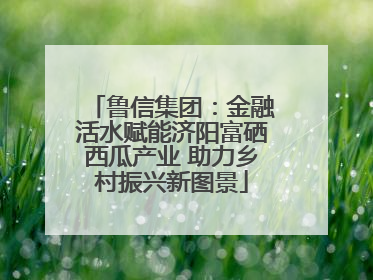 鲁信集团：金融活水赋能济阳富硒西瓜产业 助力乡村振兴新图景
