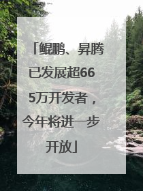 鲲鹏、昇腾已发展超665万开发者，今年将进一步开放