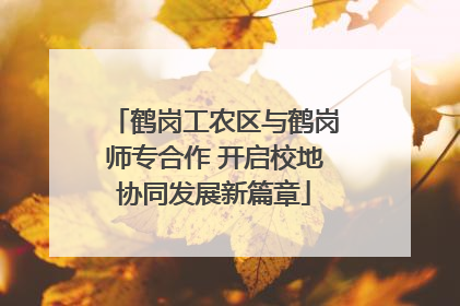 鹤岗工农区与鹤岗师专合作 开启校地协同发展新篇章