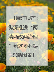 麻江坝芒：纵深推进“两清两改两治理”绘就乡村振兴新图景