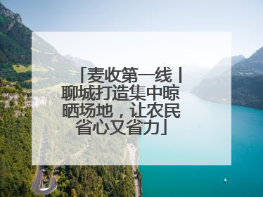 麦收第一线丨聊城打造集中晾晒场地，让农民省心又省力