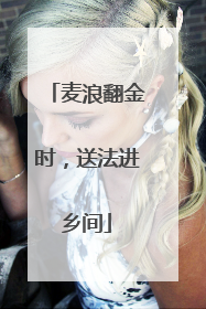 麦浪翻金时，送法进乡间