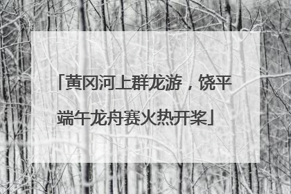 黄冈河上群龙游，饶平端午龙舟赛火热开桨