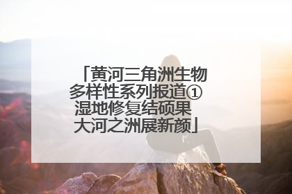 黄河三角洲生物多样性系列报道①湿地修复结硕果 大河之洲展新颜