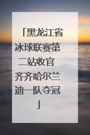 黑龙江省冰球联赛第二站收官 齐齐哈尔兰迪一队夺冠