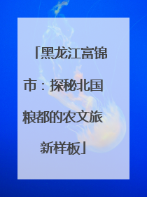 黑龙江富锦市：探秘北国粮都的农文旅新样板