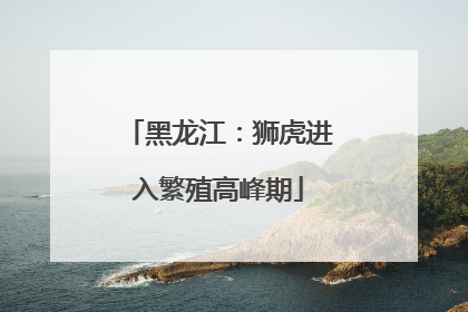 黑龙江：狮虎进入繁殖高峰期