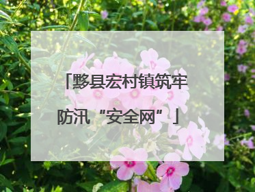 黟县宏村镇筑牢防汛“安全网”