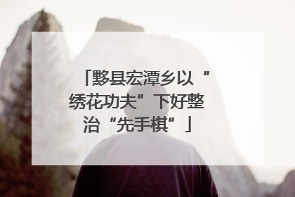 黟县宏潭乡以“绣花功夫”下好整治“先手棋”