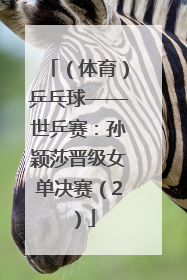 （体育）乒乓球——世乒赛：孙颖莎晋级女单决赛（2）