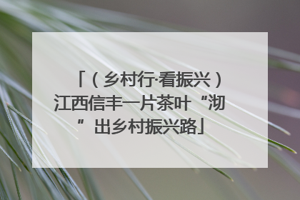 （乡村行·看振兴）江西信丰一片茶叶“沏”出乡村振兴路