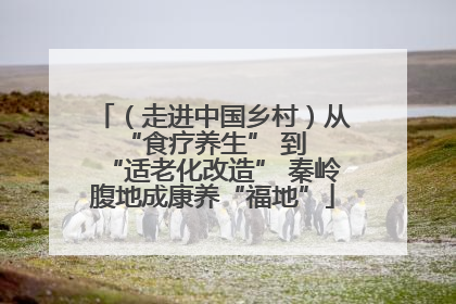 （走进中国乡村）从 “食疗养生” 到 “适老化改造” 秦岭腹地成康养“福地”