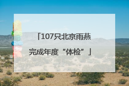 107只北京雨燕完成年度“体检”