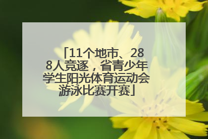 11个地市、288人竞逐，省青少年学生阳光体育运动会游泳比赛开赛
