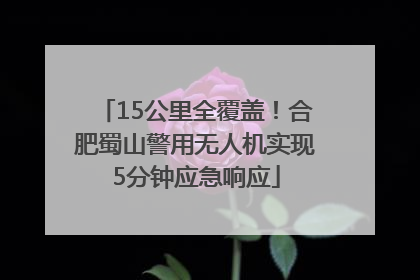 15公里全覆盖！合肥蜀山警用无人机实现5分钟应急响应