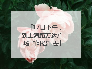 17日下午，到上海路万达广场“问招”去