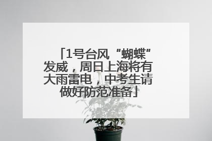 1号台风“蝴蝶”发威，周日上海将有大雨雷电，中考生请做好防范准备
