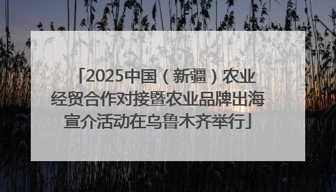 2025中国（新疆）农业经贸合作对接暨农业品牌出海宣介活动在乌鲁木齐举行