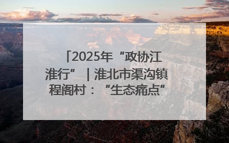 2025年“政协江淮行”｜淮北市渠沟镇程阁村：“生态痛点”变“生态景观”