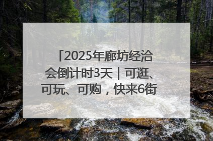 2025年廊坊经洽会倒计时3天｜可逛、可玩、可购，快来6街16巷逛市集