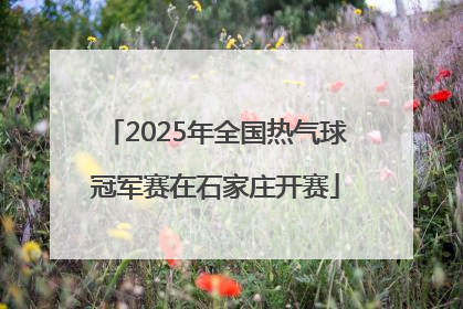 2025年全国热气球冠军赛在石家庄开赛