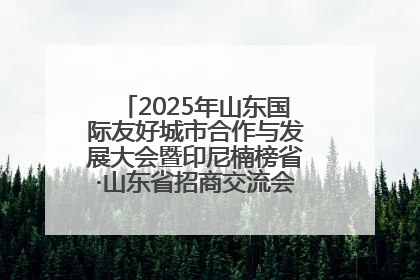 2025年山东国际友好城市合作与发展大会暨印尼楠榜省·山东省招商交流会在济南槐荫举行