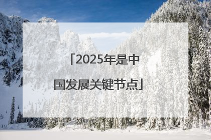 2025年是中国发展关键节点