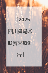 2025四川省马术联赛火热进行