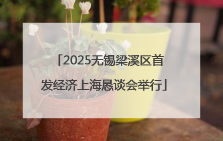 2025无锡梁溪区首发经济上海恳谈会举行