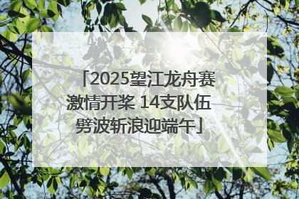 2025望江龙舟赛激情开桨 14支队伍劈波斩浪迎端午