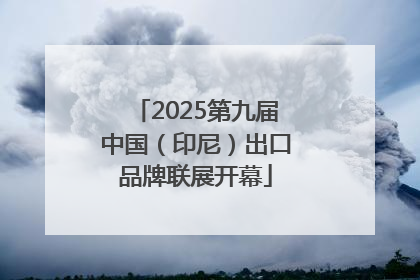 2025第九届中国(印尼)出口品牌联展开幕