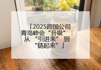 2025跨国公司青岛峰会“升级”：从 “引进来” 到 “链起来”