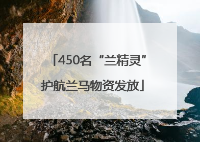 450名“兰精灵”护航兰马物资发放