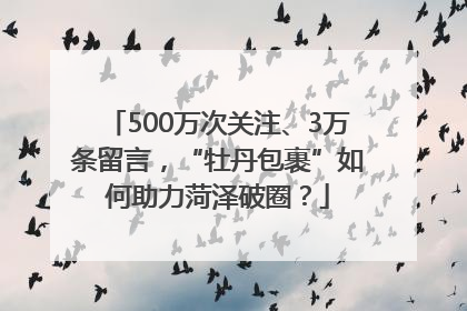 500万次关注、3万条留言，“牡丹包裹”如何助力菏泽破圈？
