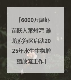 6000万尾虾苗跃入莱州湾 潍坊滨海区启动2025年水生生物增殖放流工作