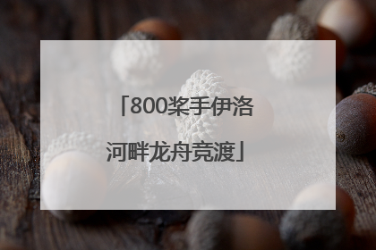 800桨手伊洛河畔龙舟竞渡