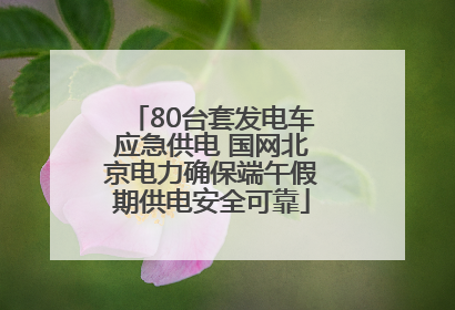 80台套发电车应急供电 国网北京电力确保端午假期供电安全可靠