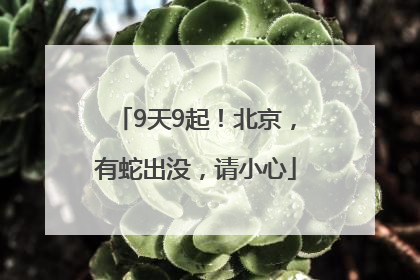9天9起！北京，有蛇出没，请小心